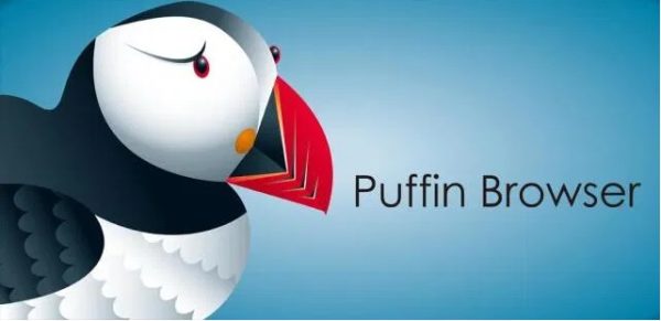 Puffin Browser 9.0.1.982 Crack & Keygen Free Download