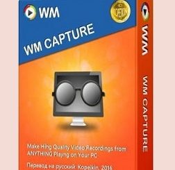 WM-Capture-Crack