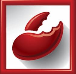 CodeLobster IDE Professional