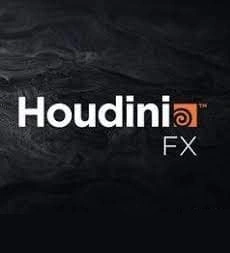 Download SideFX Houdini FX 19.5.435 Crack