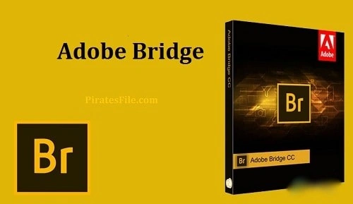 Adobe Bridge CC Crack