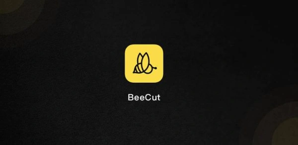 BeeCut Crack
